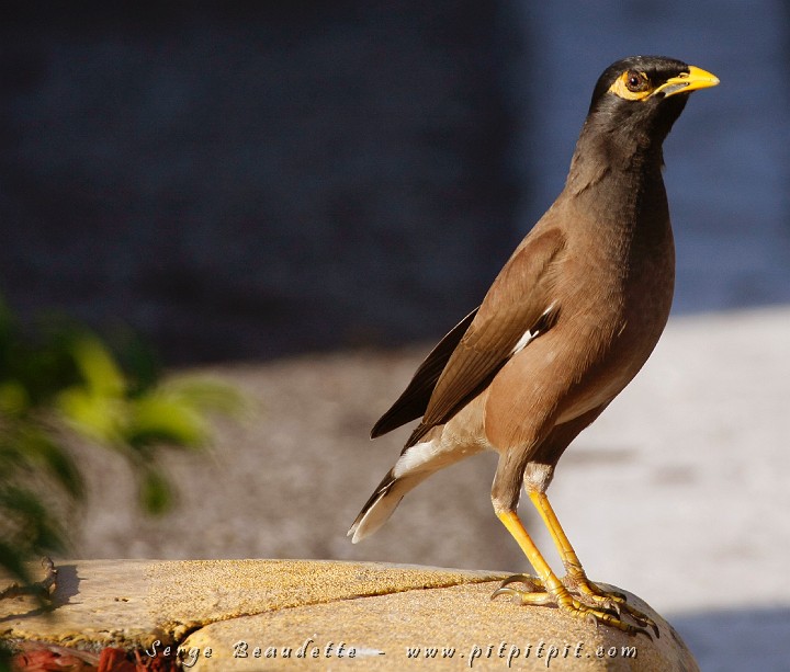 2009-01-10 08-50-21__MG_2060.JPG